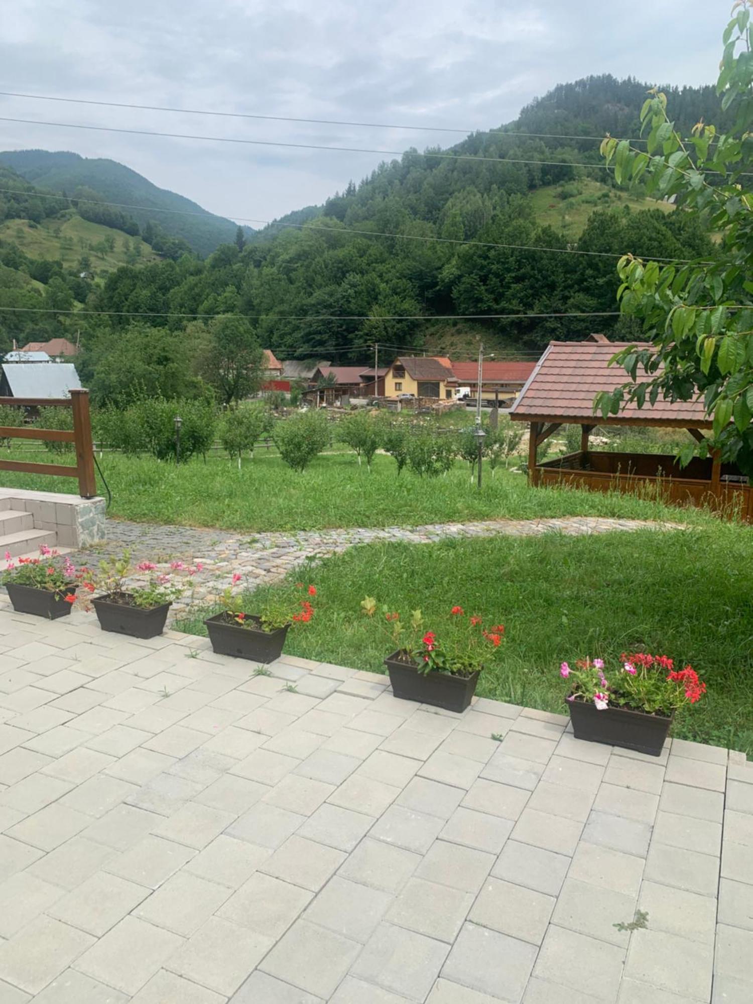 Pensiunea Valea Pinului Rau Sadului Exterior photo