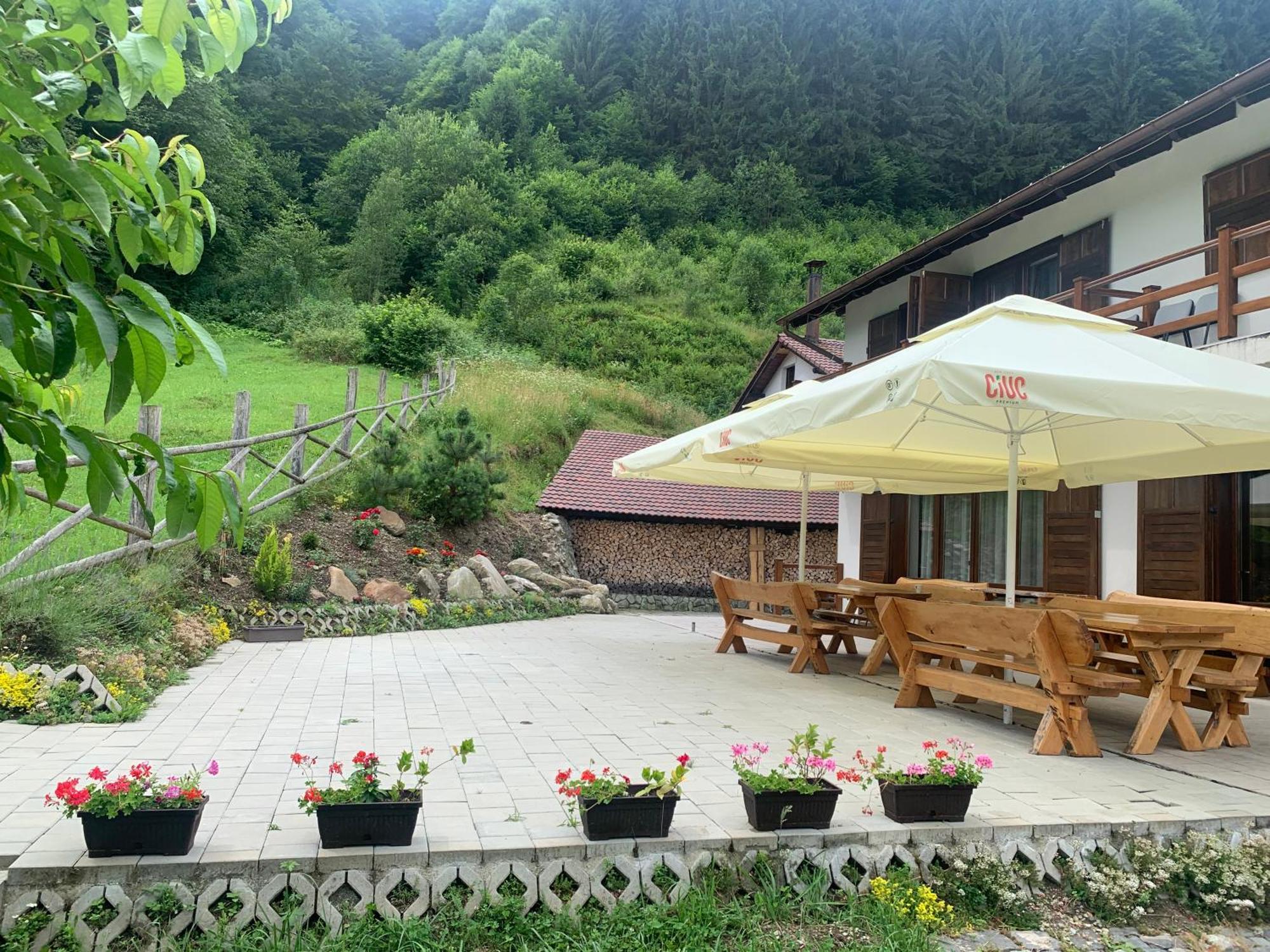 Pensiunea Valea Pinului Rau Sadului Exterior photo